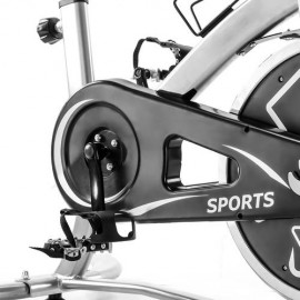 Stationary Professional Indoor Cycling Bike S280 Trainer Exercise Bicycle